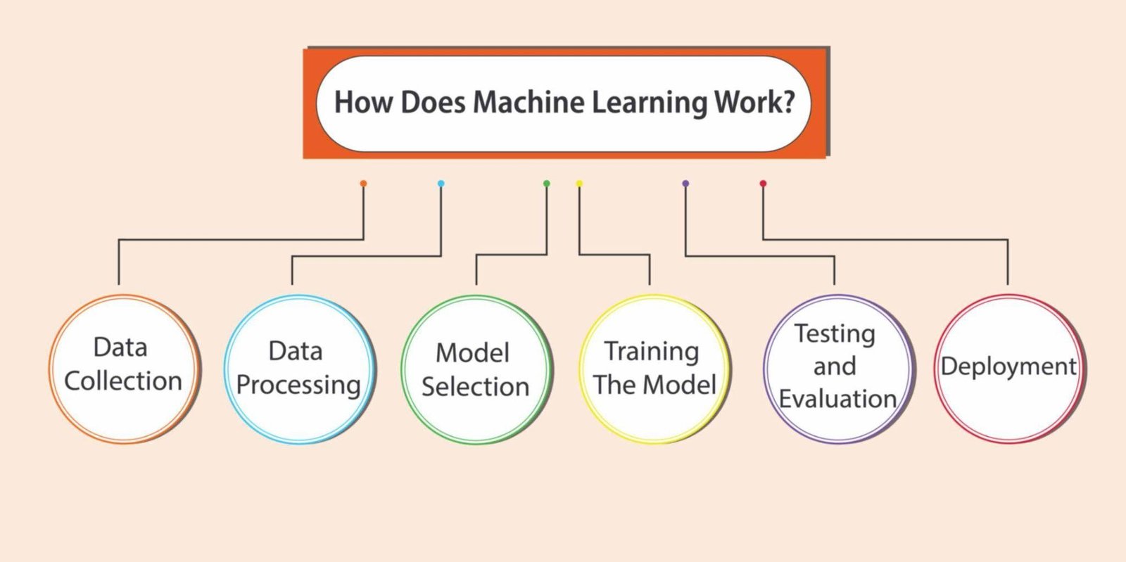 How Does Machine Learning Work?