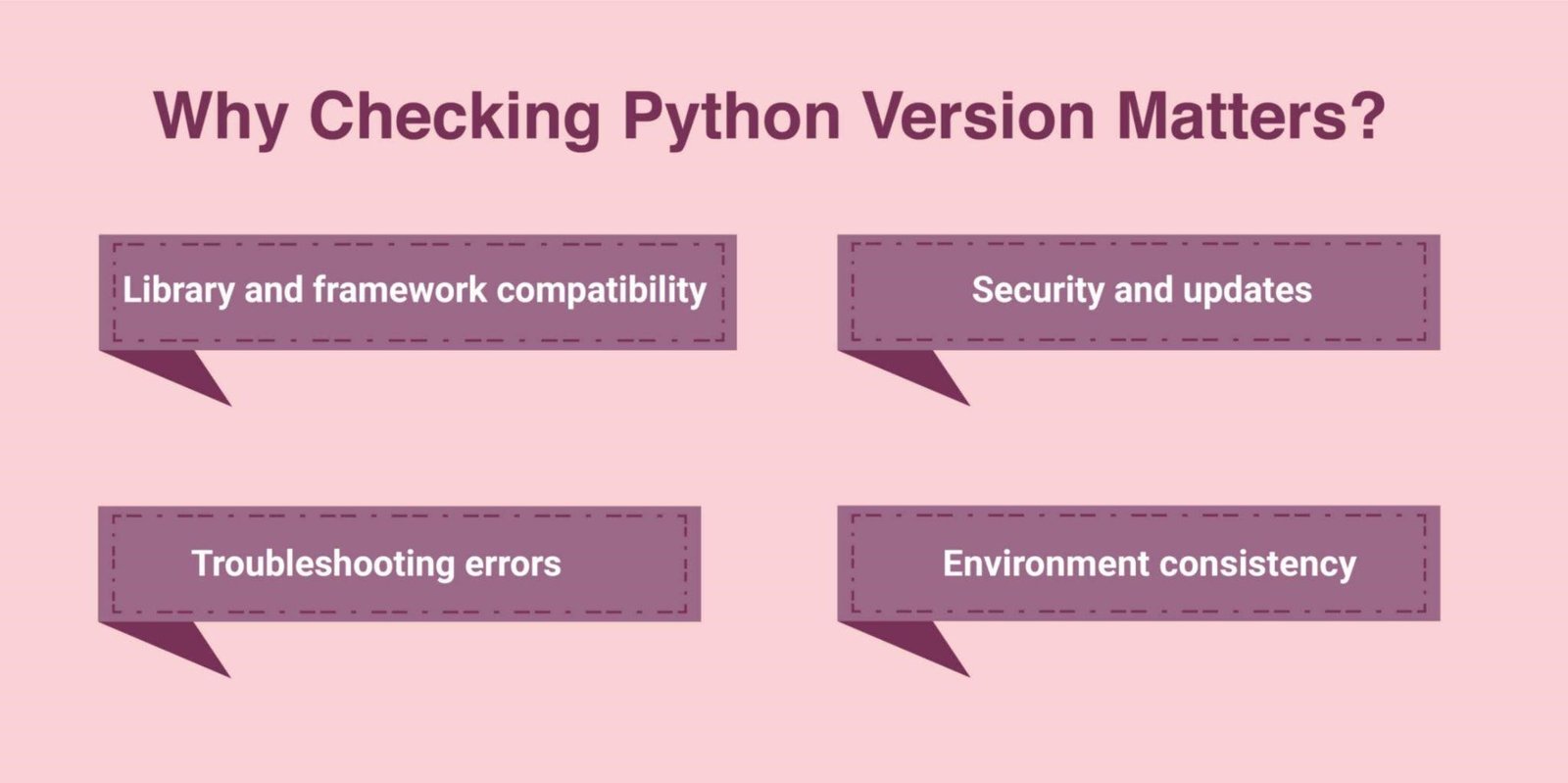 Why Checking Python Version Matters